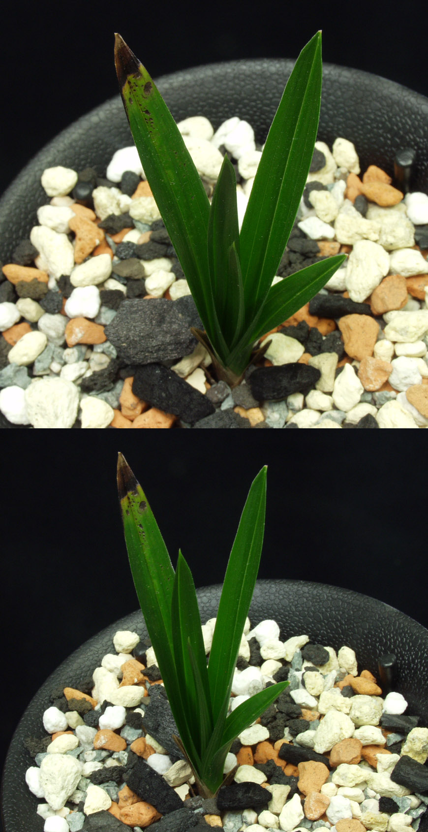 ������ ū������ �� �� �ֽ��ϴ�.