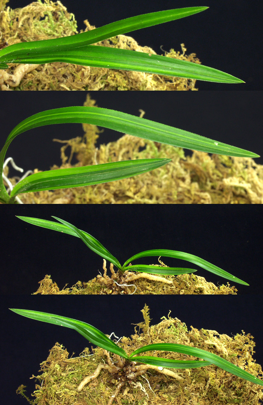 ������ ū������ �� �� �ֽ��ϴ�.