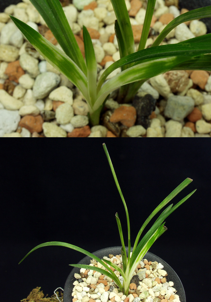 ������ ū������ �� �� �ֽ��ϴ�.