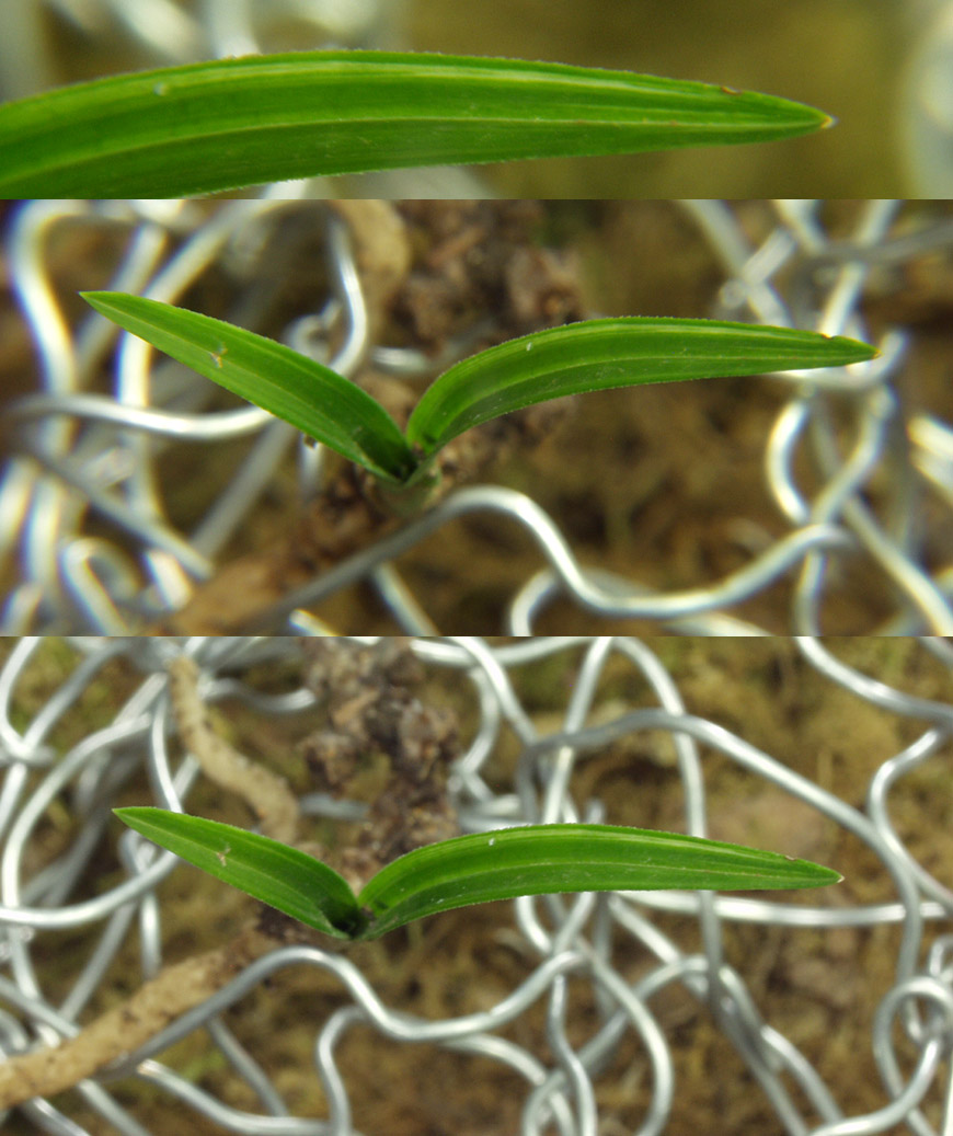 ������ ū������ �� �� �ֽ��ϴ�.