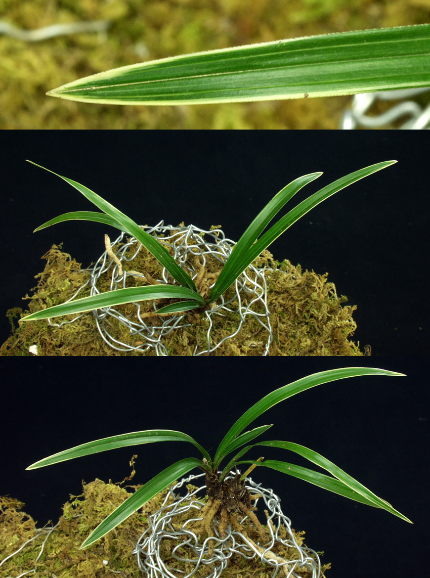 ������ ū������ �� �� �ֽ��ϴ�.