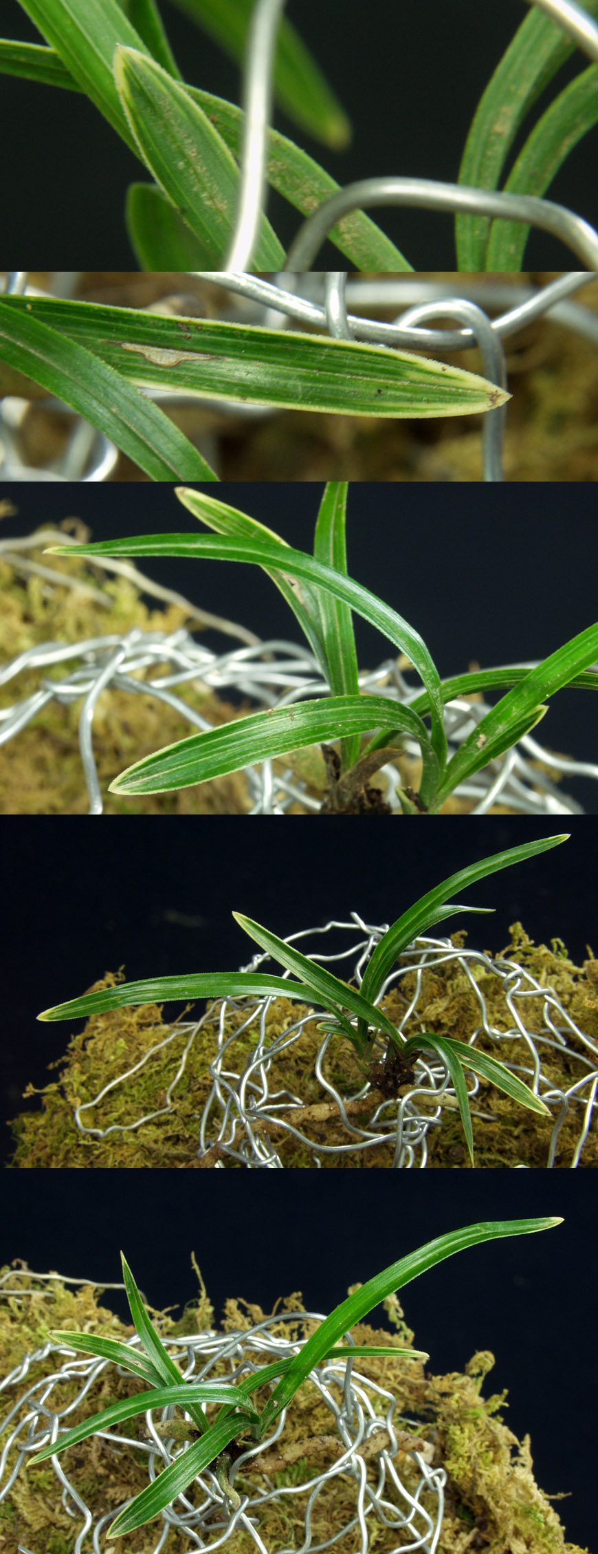 ������ ū������ �� �� �ֽ��ϴ�.