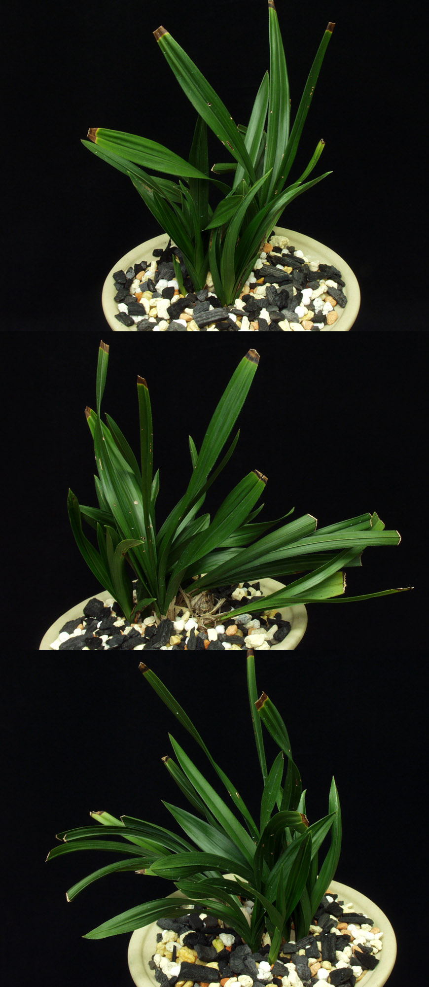 ������ ū������ �� �� �ֽ��ϴ�.