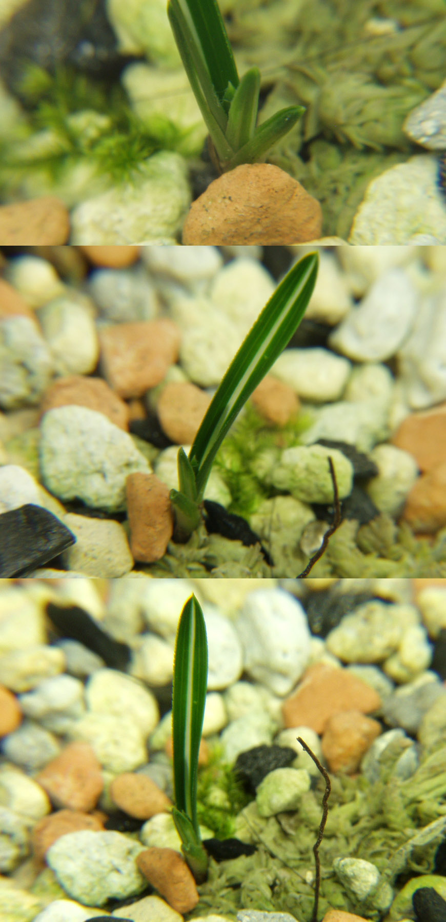 ������ ū������ �� �� �ֽ��ϴ�.