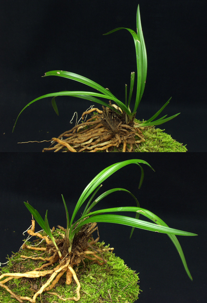 ������ ū������ �� �� �ֽ��ϴ�.