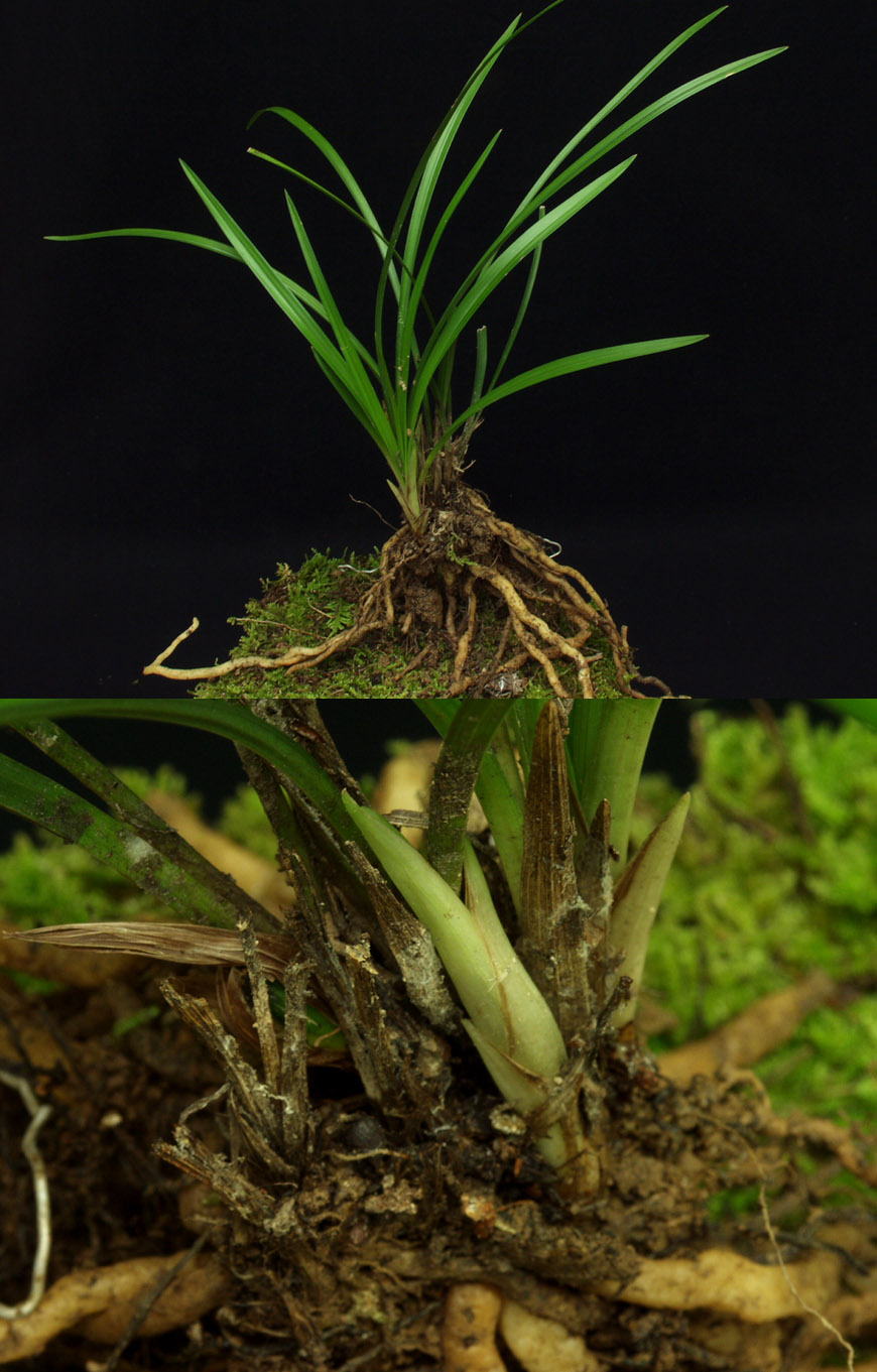 ������ ū������ �� �� �ֽ��ϴ�.