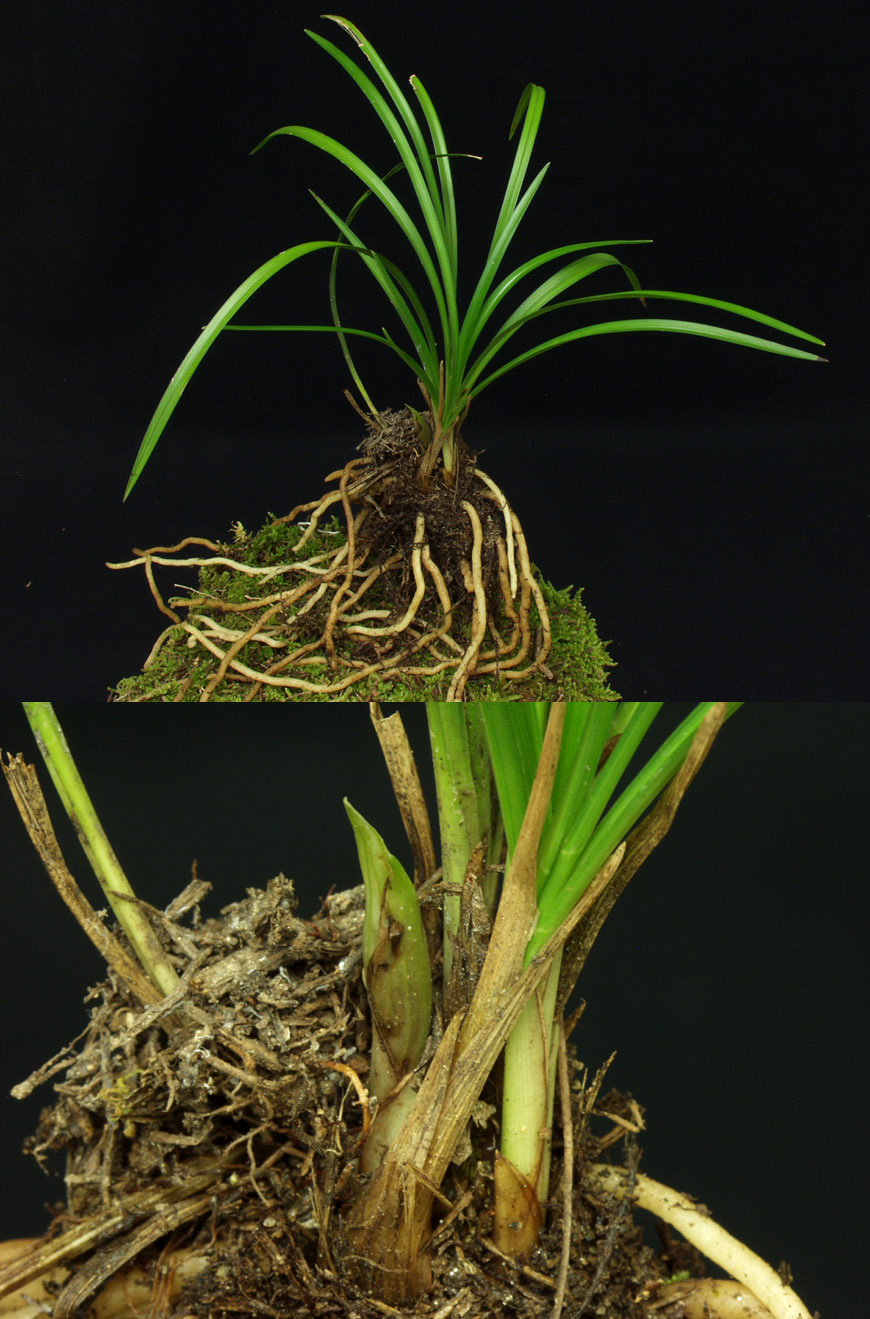 ������ ū������ �� �� �ֽ��ϴ�.