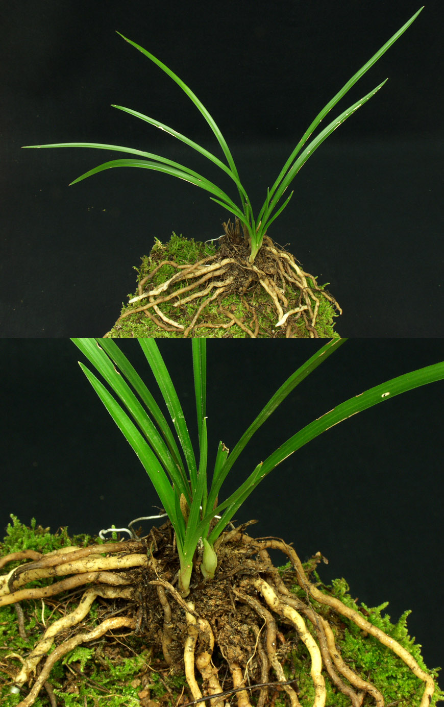 ������ ū������ �� �� �ֽ��ϴ�.