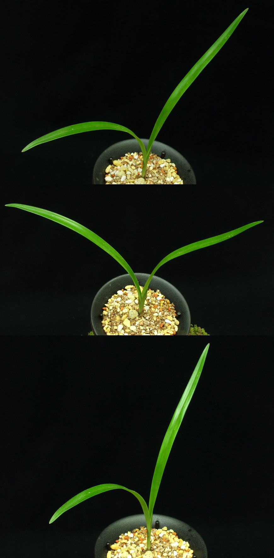 ������ ū������ �� �� �ֽ��ϴ�.