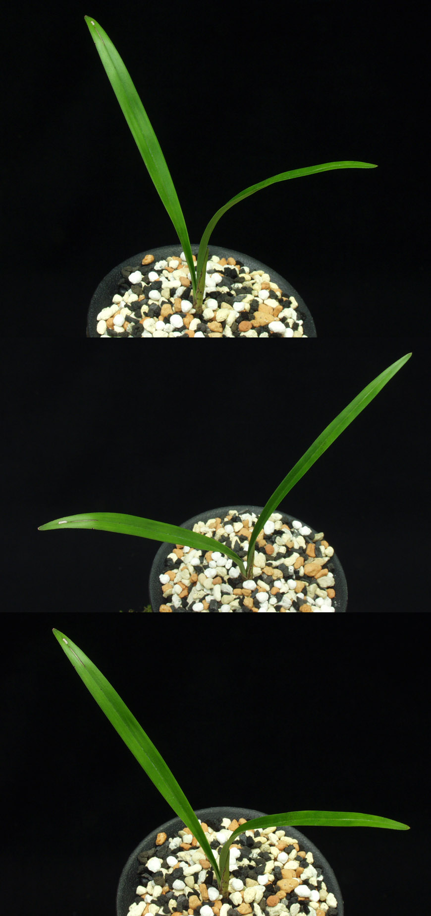 ������ ū������ �� �� �ֽ��ϴ�.