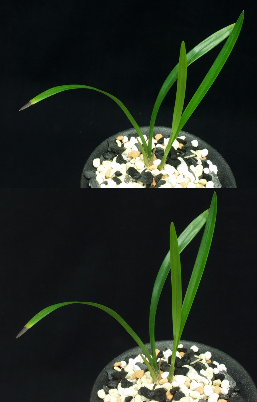 ������ ū������ �� �� �ֽ��ϴ�.