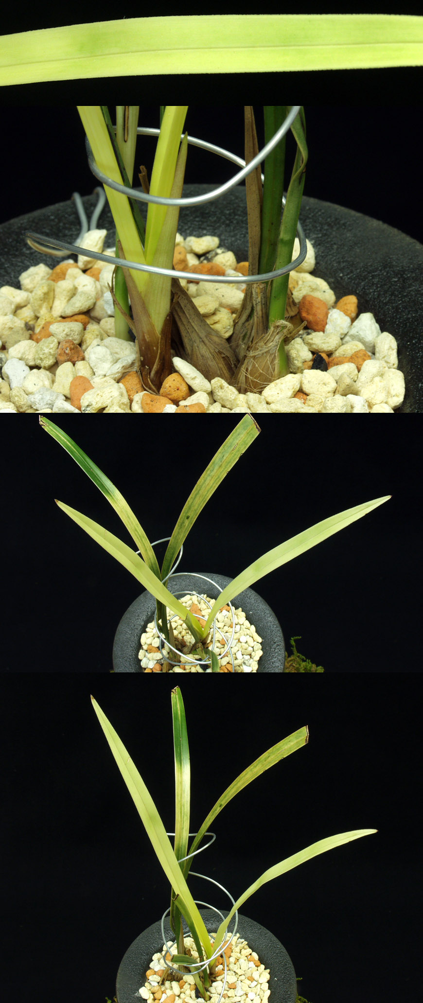 ������ ū������ �� �� �ֽ��ϴ�.