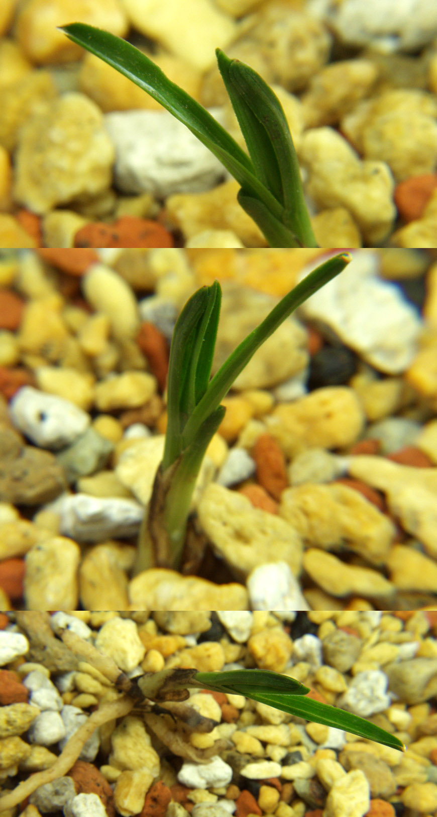 ������ ū������ �� �� �ֽ��ϴ�.