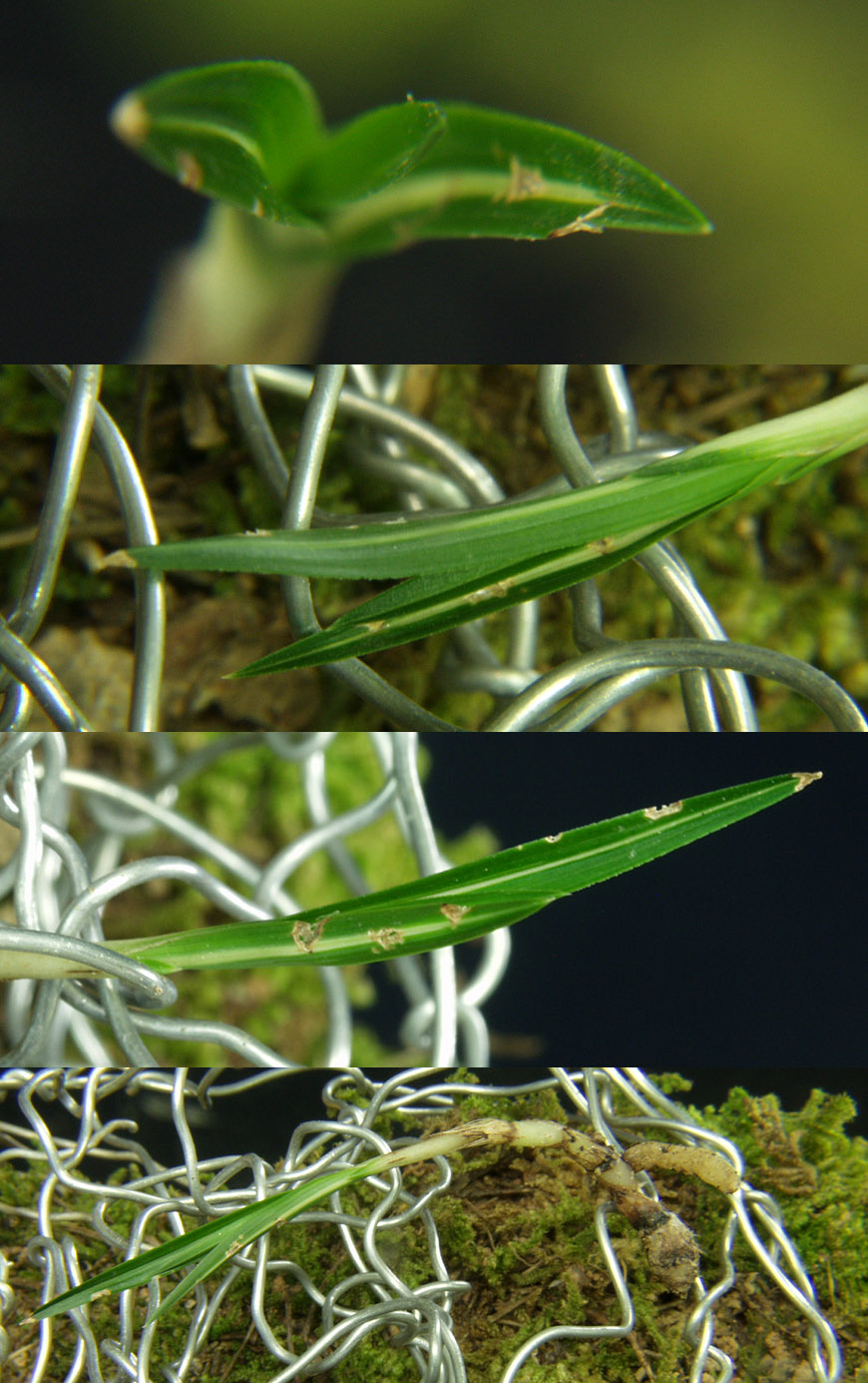 ������ ū������ �� �� �ֽ��ϴ�.