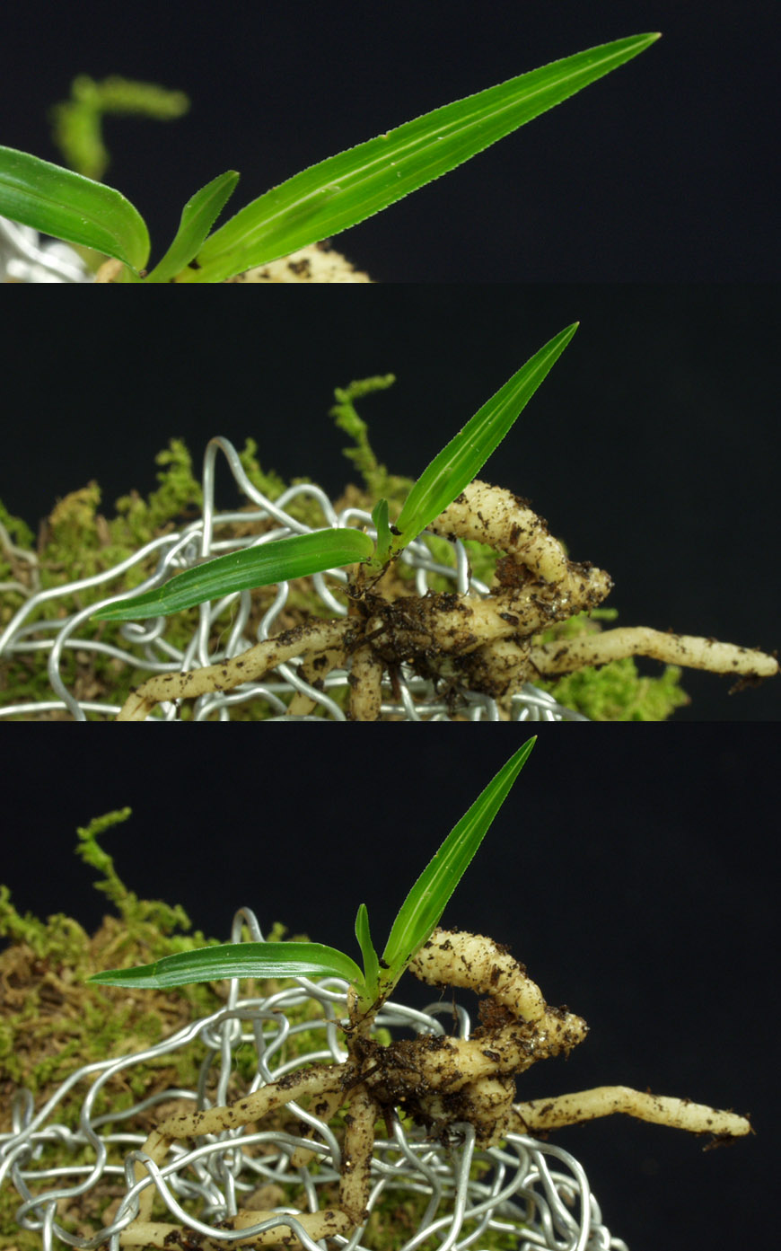 ������ ū������ �� �� �ֽ��ϴ�.