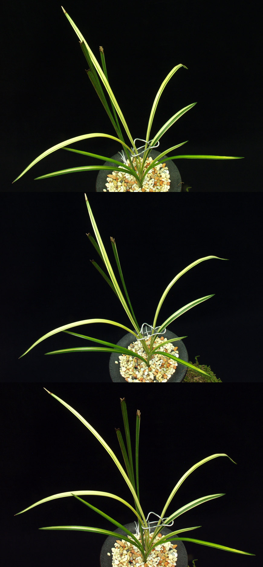 ������ ū������ �� �� �ֽ��ϴ�.