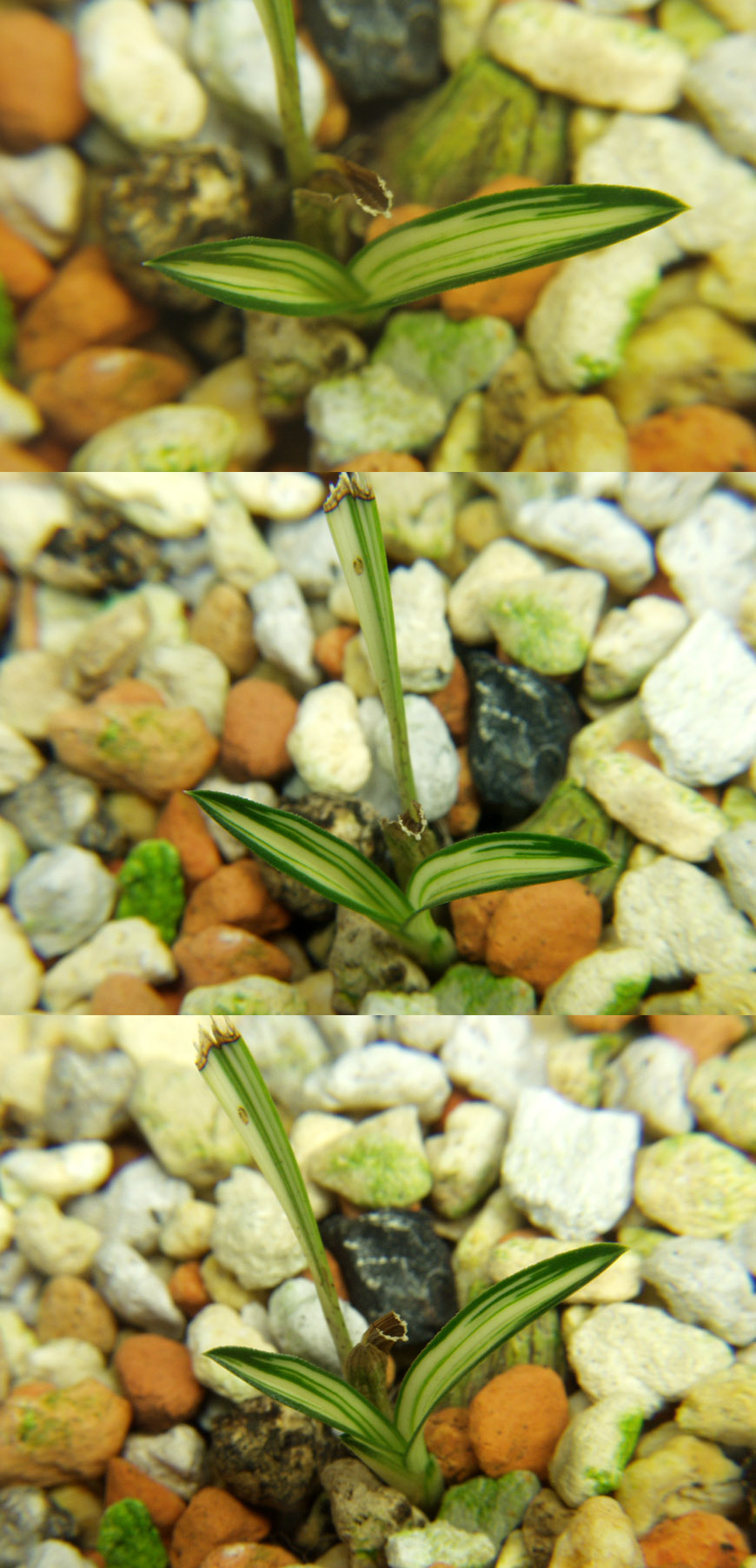 ������ ū������ �� �� �ֽ��ϴ�.