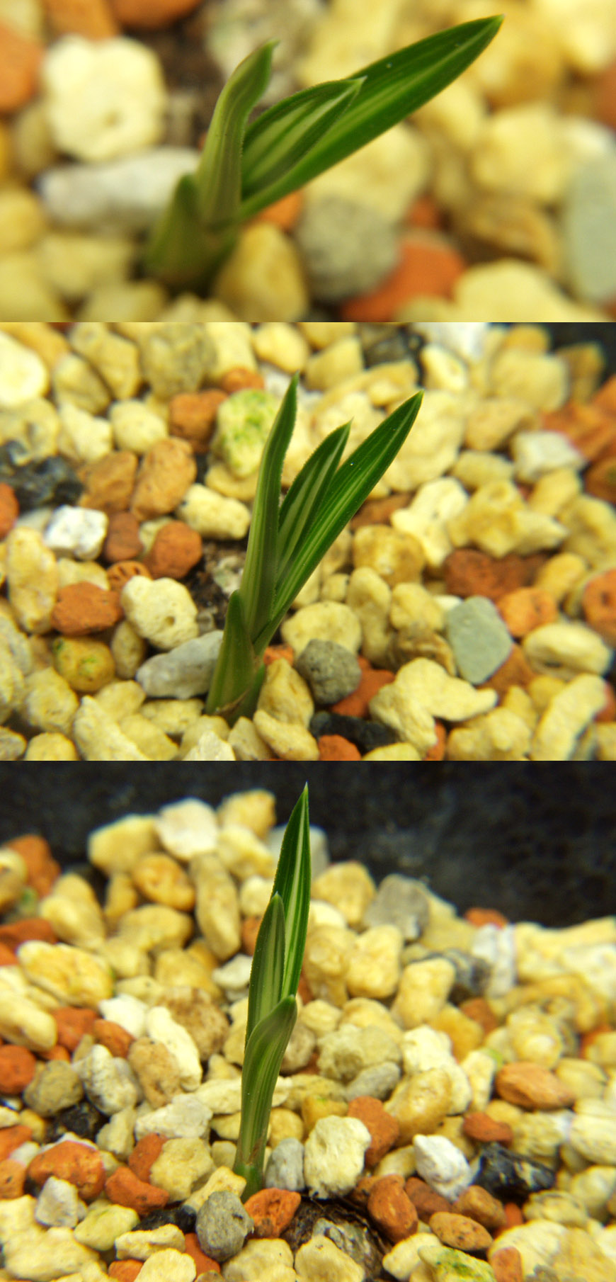 ������ ū������ �� �� �ֽ��ϴ�.