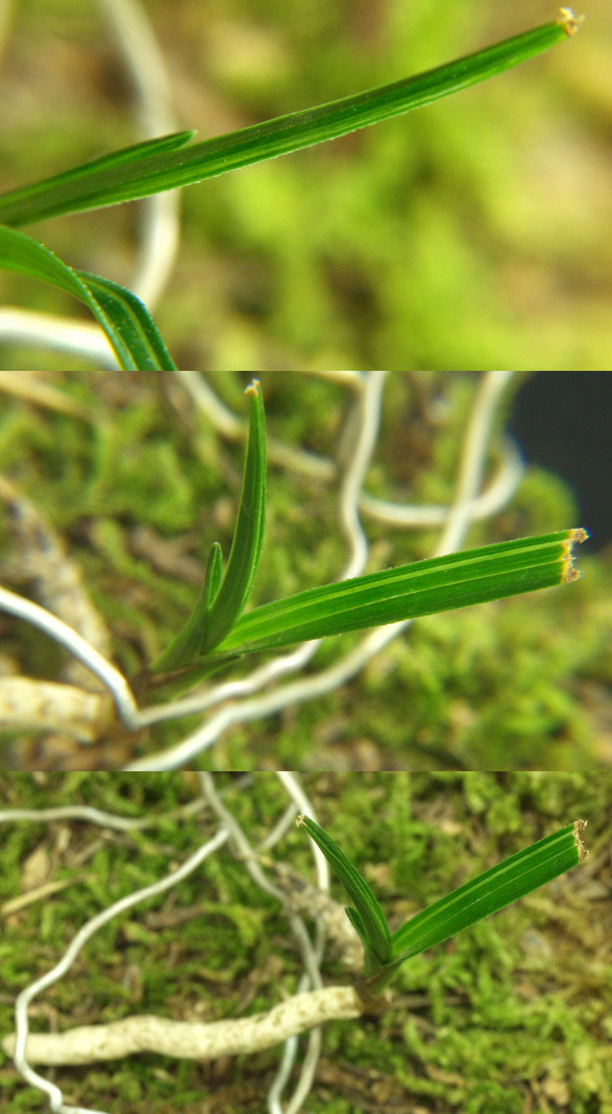 ������ ū������ �� �� �ֽ��ϴ�.