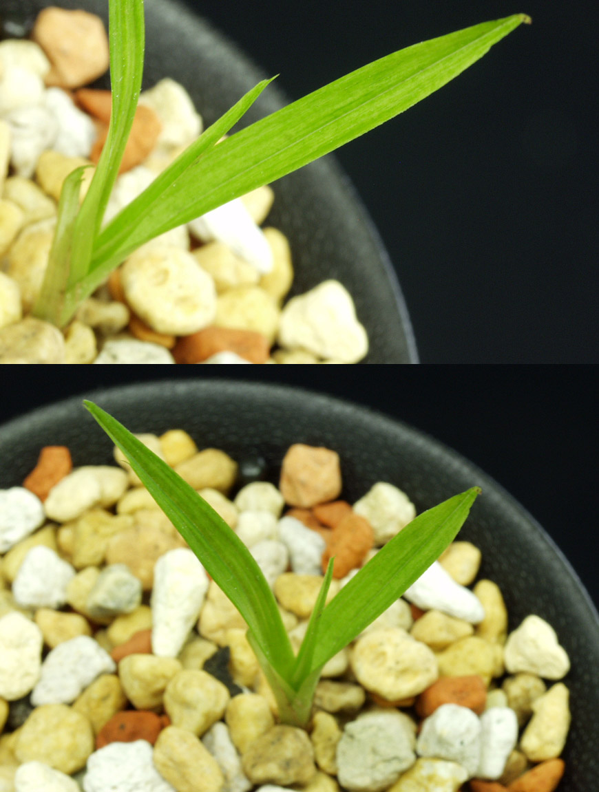 ������ ū������ �� �� �ֽ��ϴ�.