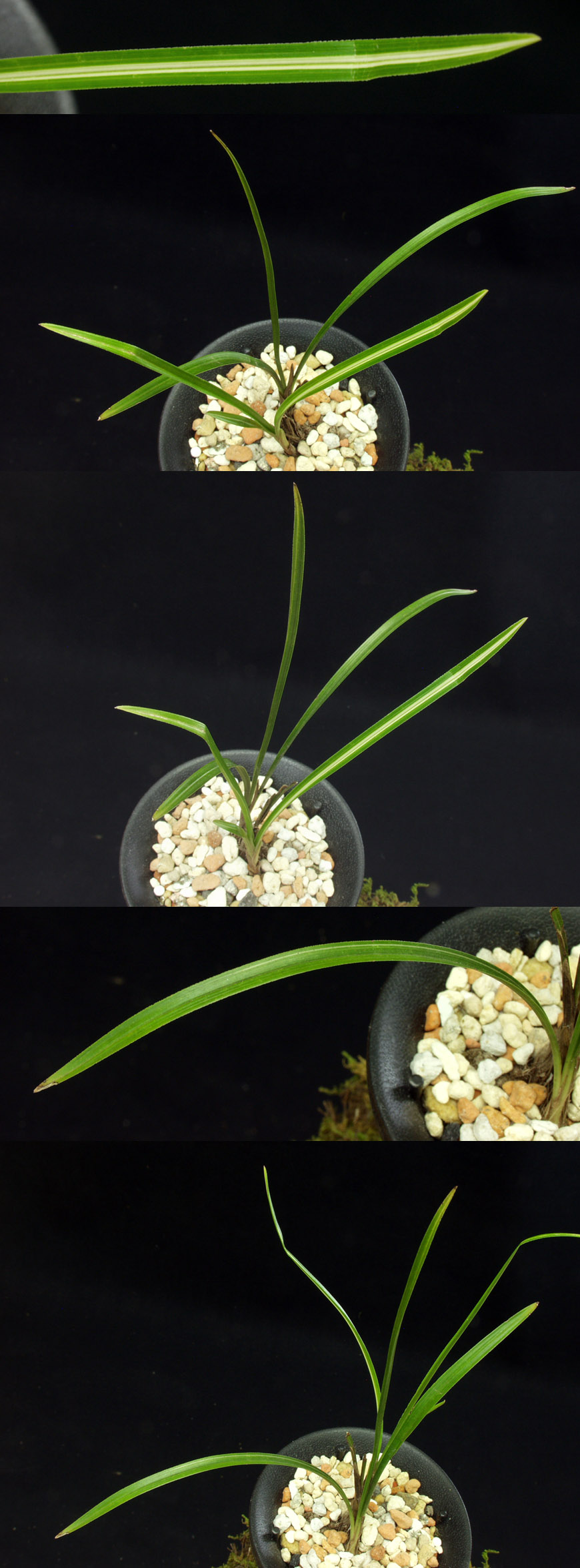 ������ ū������ �� �� �ֽ��ϴ�.