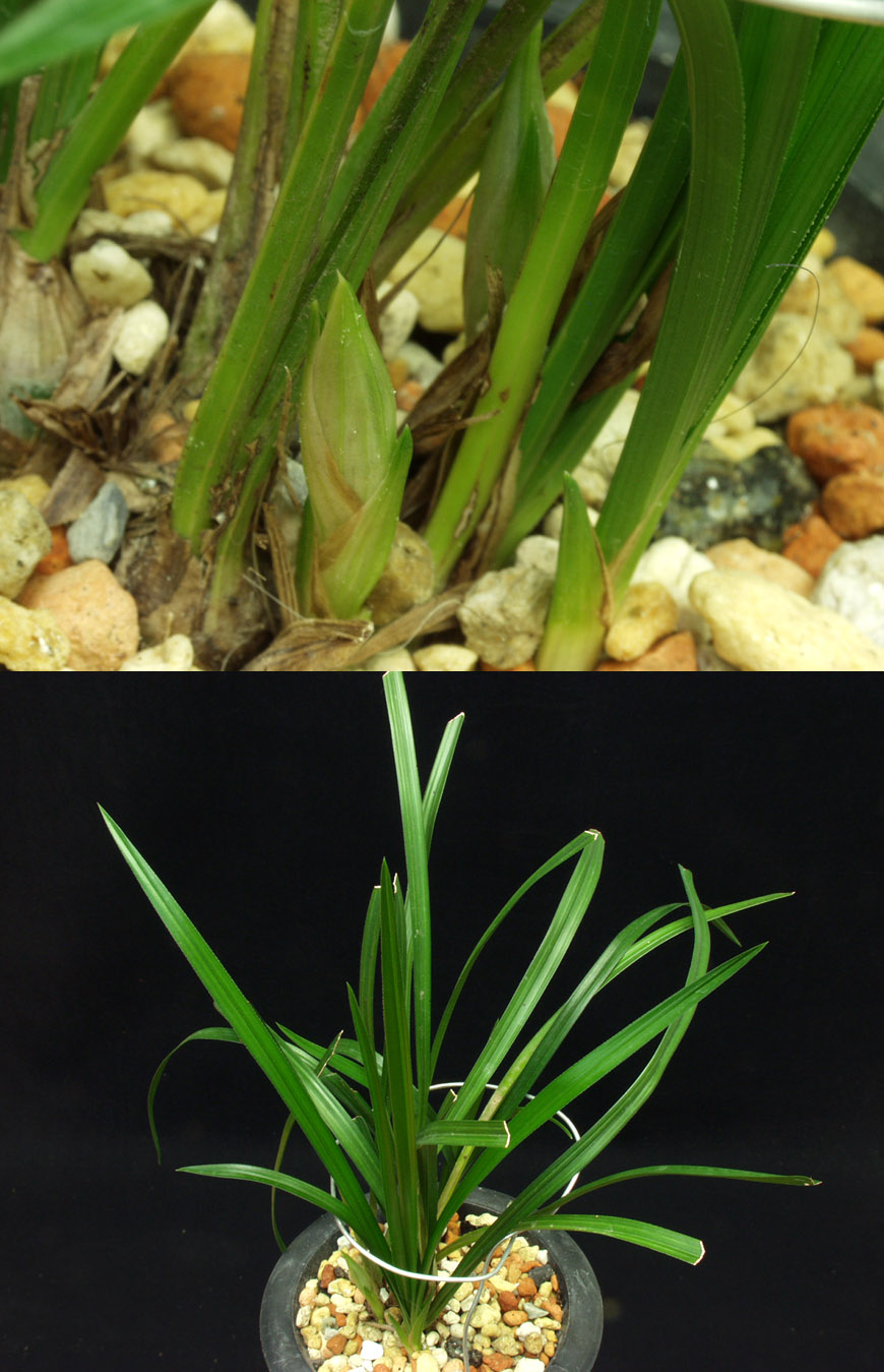 ������ ū������ �� �� �ֽ��ϴ�.