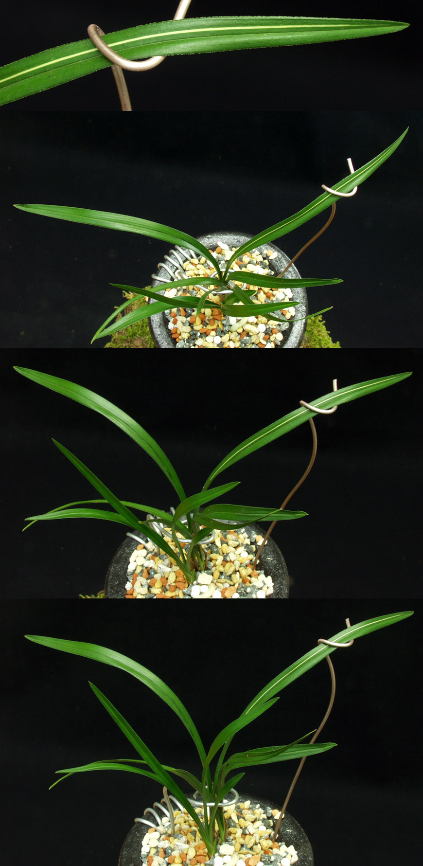 ������ ū������ �� �� �ֽ��ϴ�.