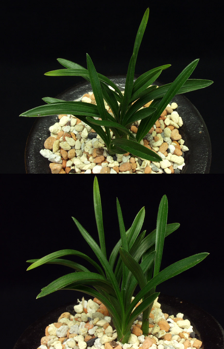 ������ ū������ �� �� �ֽ��ϴ�.