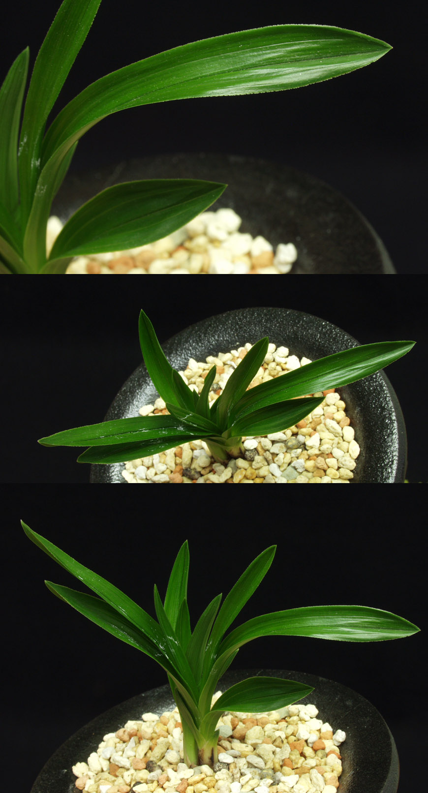 ������ ū������ �� �� �ֽ��ϴ�.