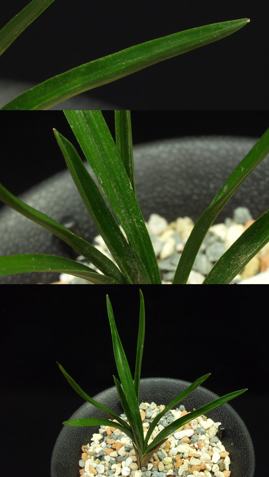 ������ ū������ �� �� �ֽ��ϴ�.