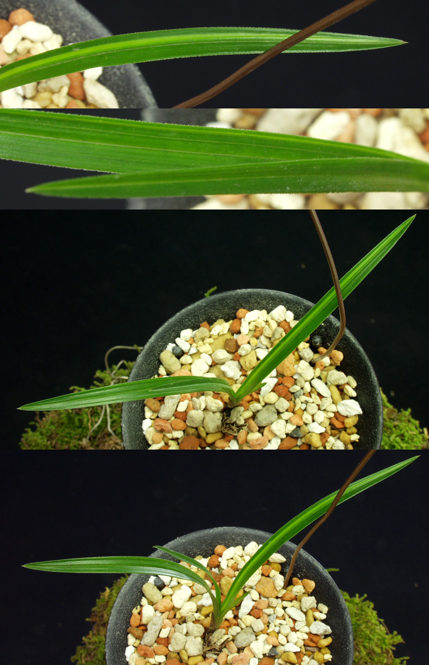 ������ ū������ �� �� �ֽ��ϴ�.