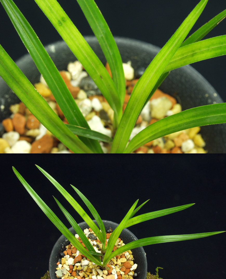 ������ ū������ �� �� �ֽ��ϴ�.