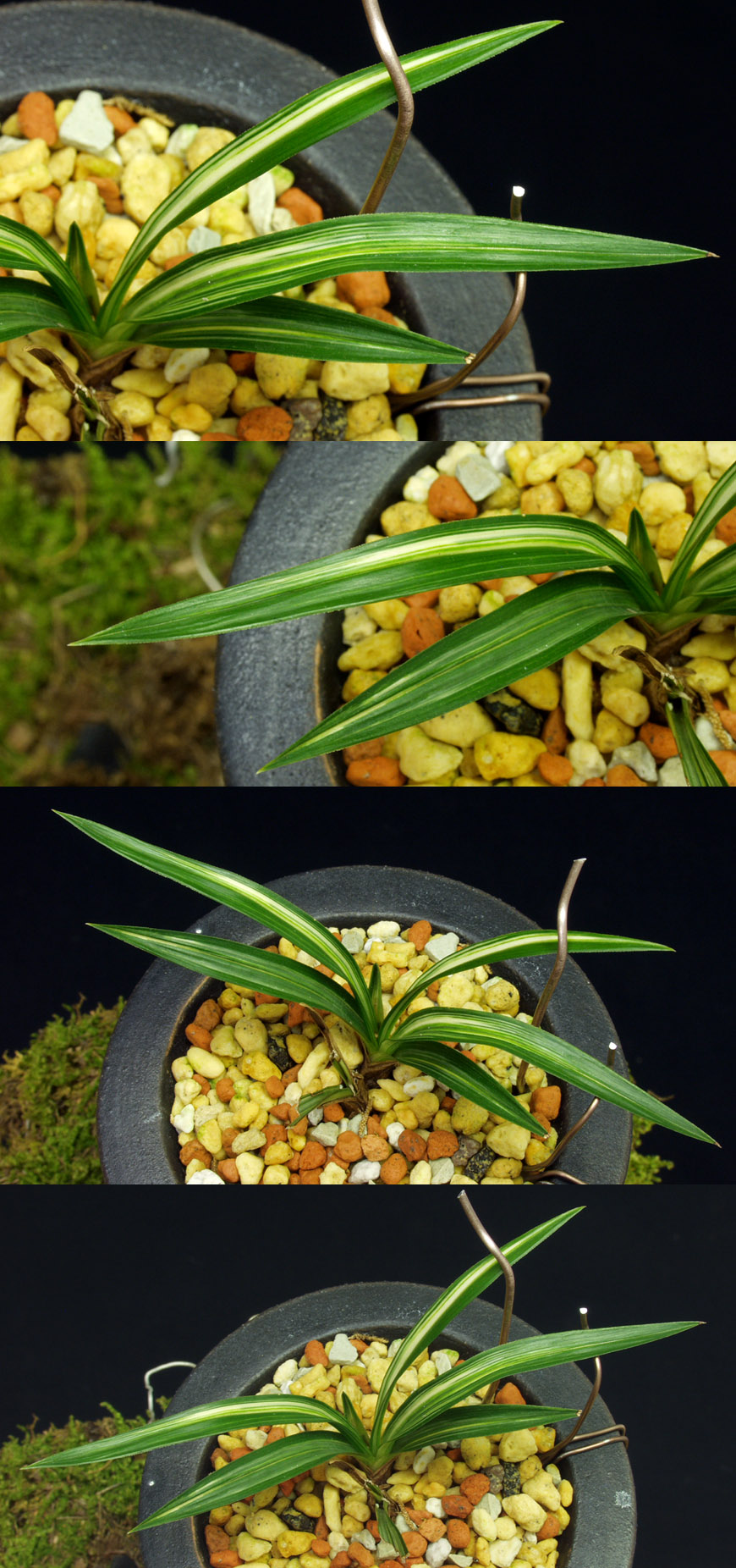 ������ ū������ �� �� �ֽ��ϴ�.