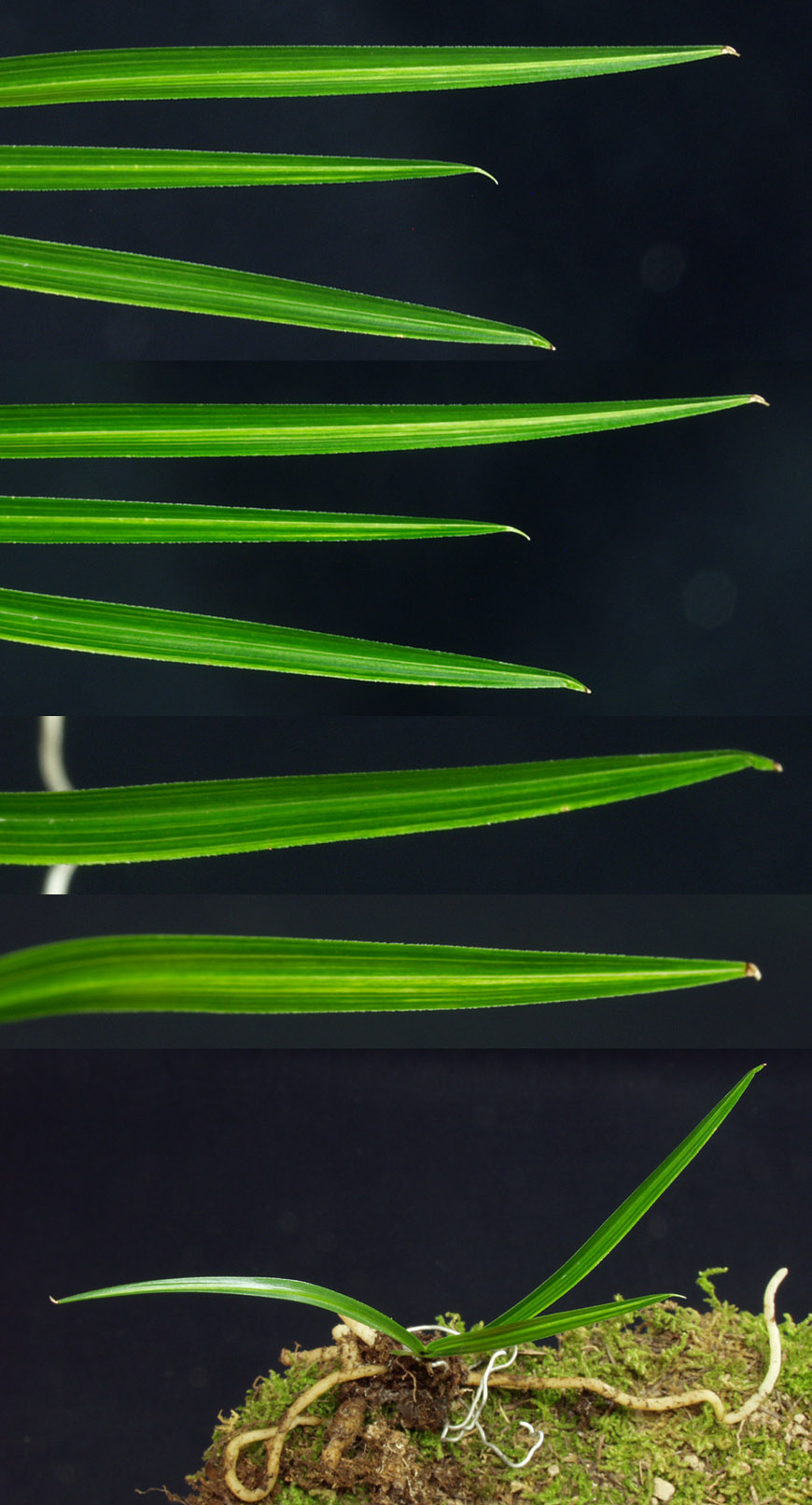 ������ ū������ �� �� �ֽ��ϴ�.