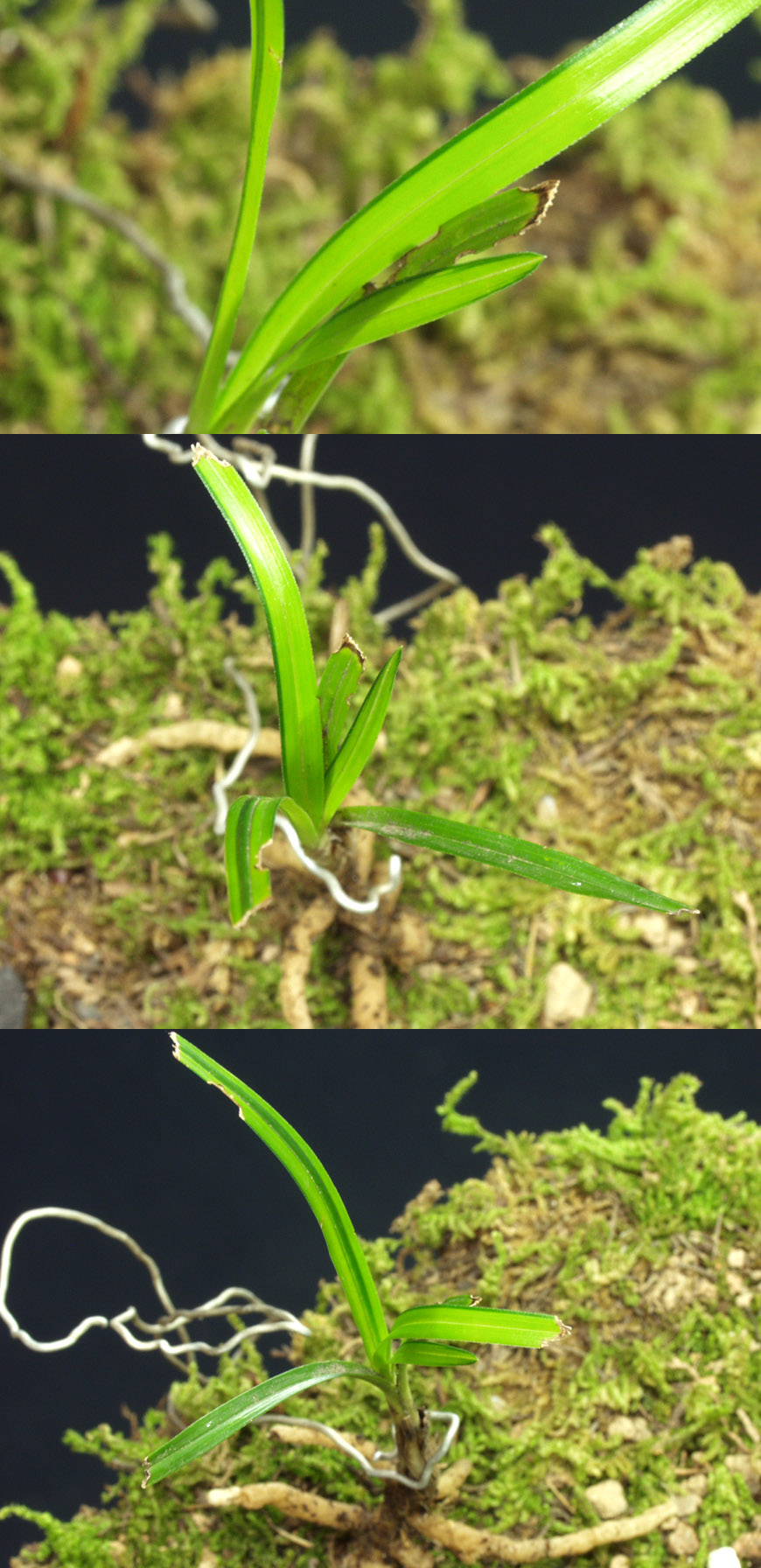 ������ ū������ �� �� �ֽ��ϴ�.