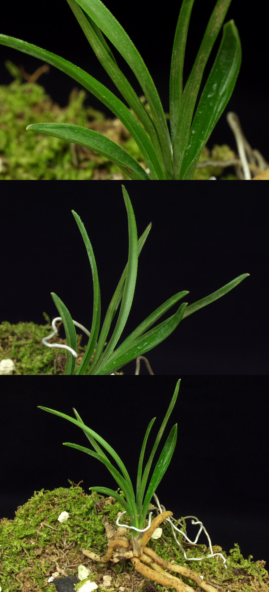 ������ ū������ �� �� �ֽ��ϴ�.