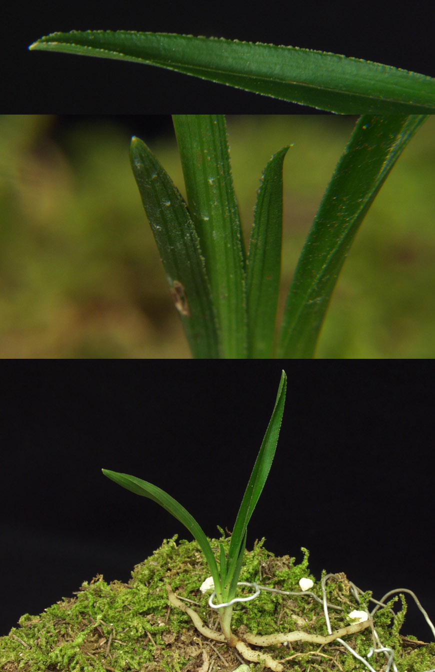 ������ ū������ �� �� �ֽ��ϴ�.