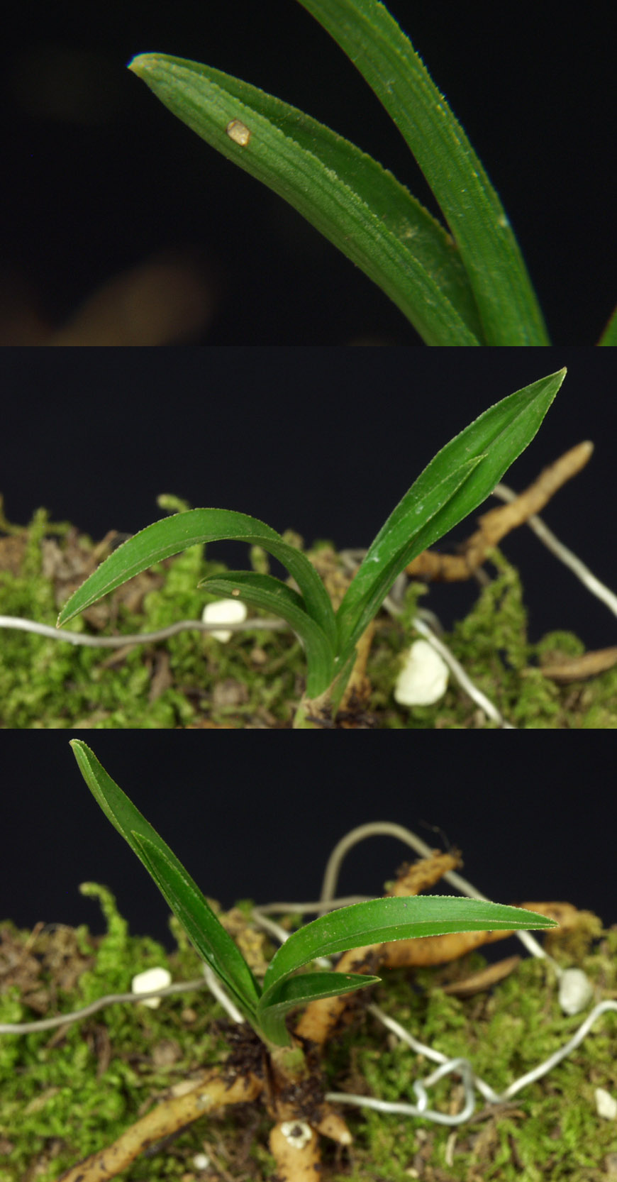 ������ ū������ �� �� �ֽ��ϴ�.