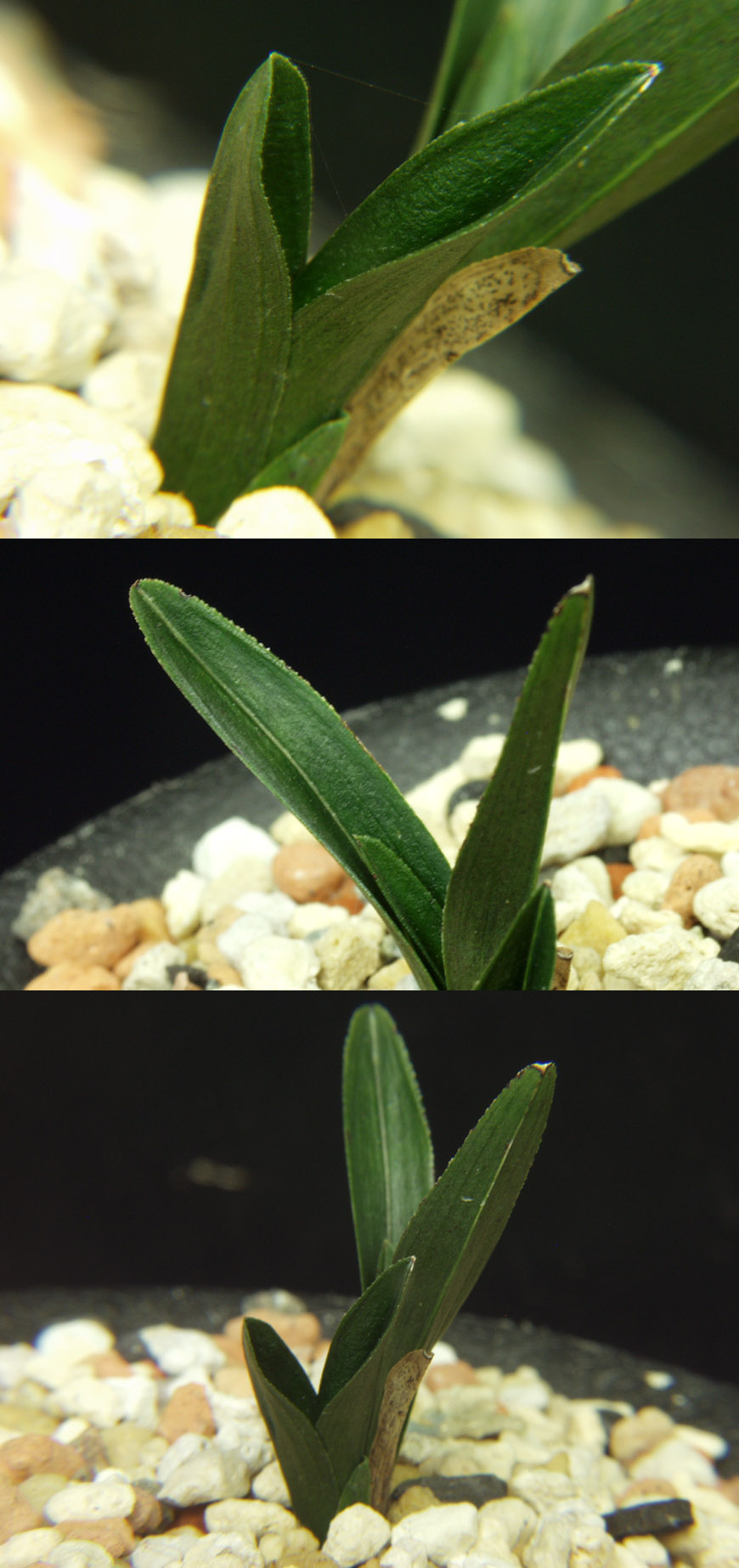 ������ ū������ �� �� �ֽ��ϴ�.