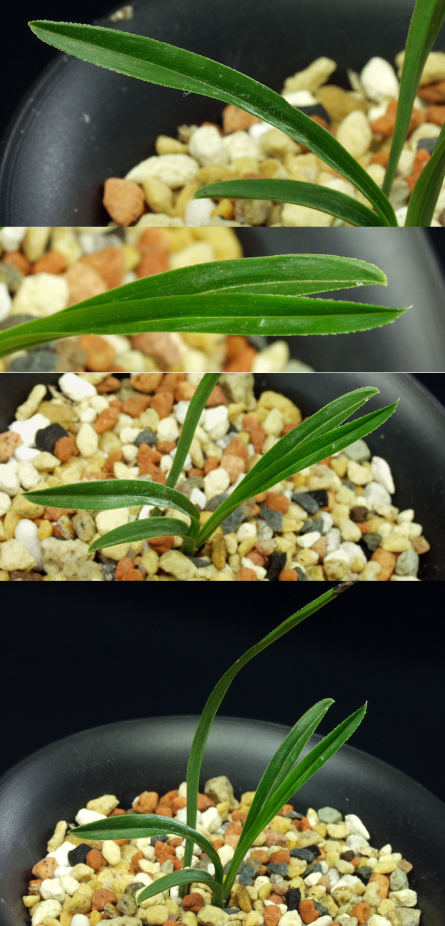 ������ ū������ �� �� �ֽ��ϴ�.