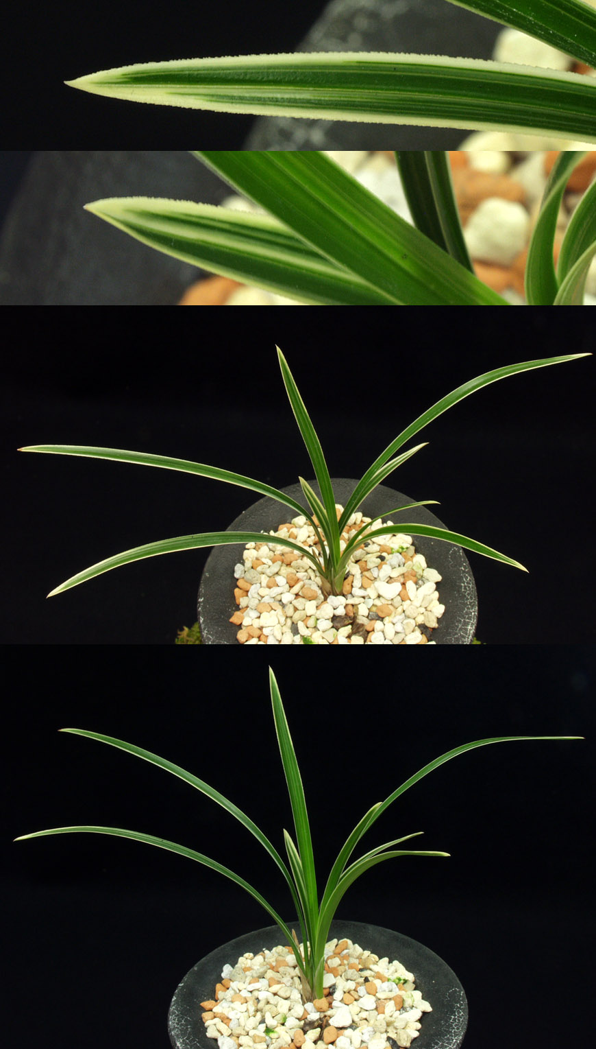 ������ ū������ �� �� �ֽ��ϴ�.