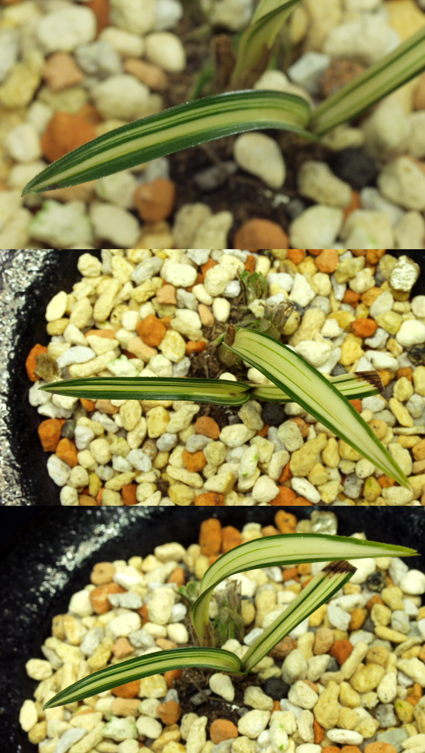 ������ ū������ �� �� �ֽ��ϴ�.