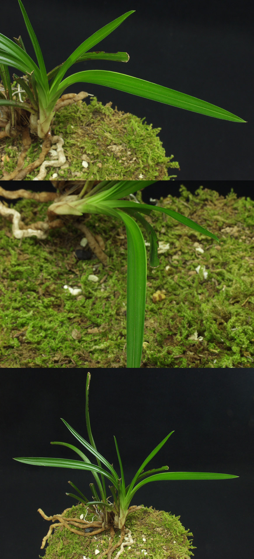 ������ ū������ �� �� �ֽ��ϴ�.