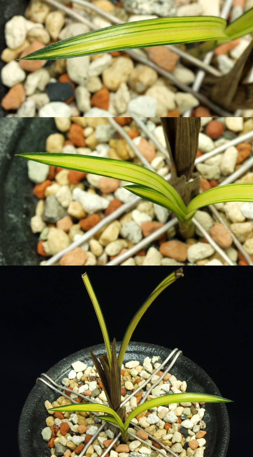 ������ ū������ �� �� �ֽ��ϴ�.