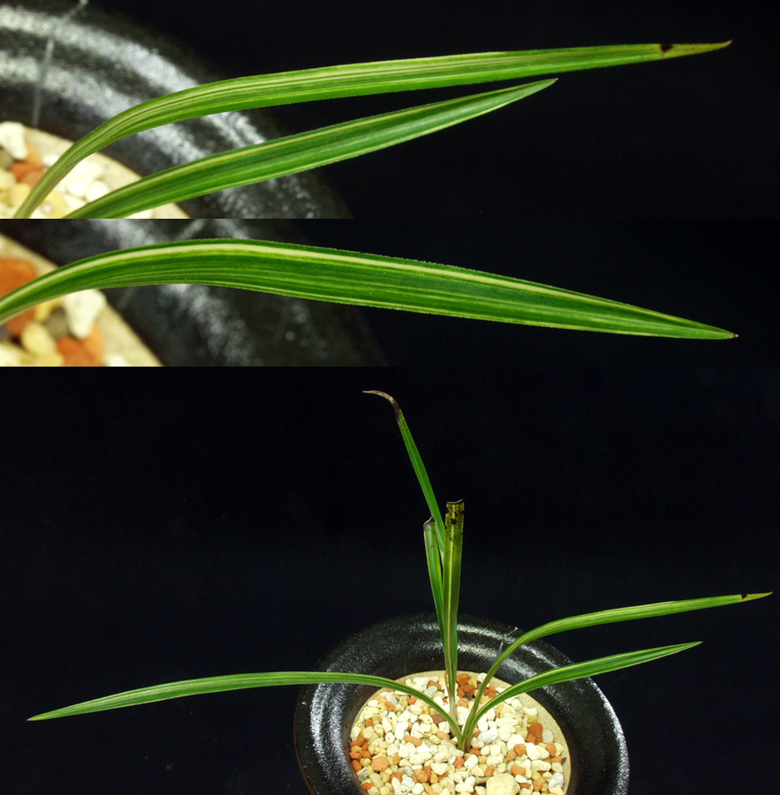 ������ ū������ �� �� �ֽ��ϴ�.