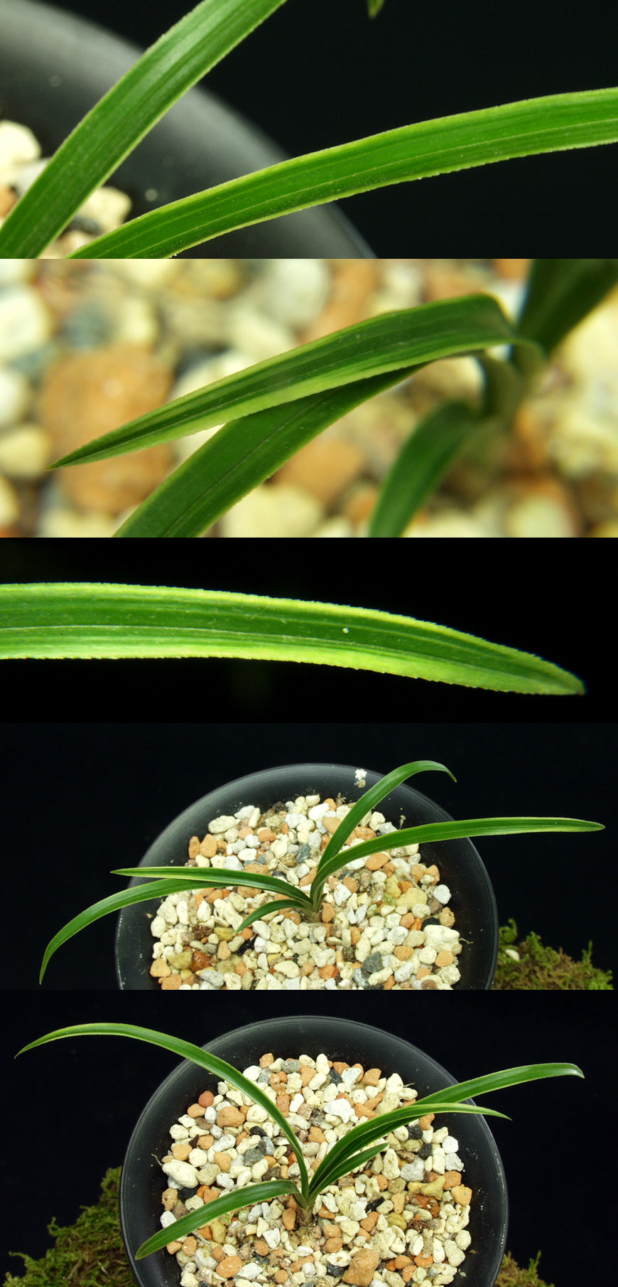 ������ ū������ �� �� �ֽ��ϴ�.