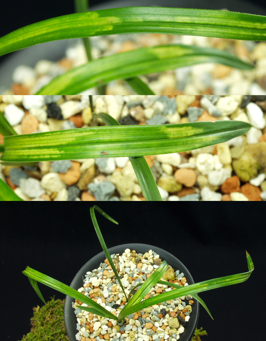 ������ ū������ �� �� �ֽ��ϴ�.