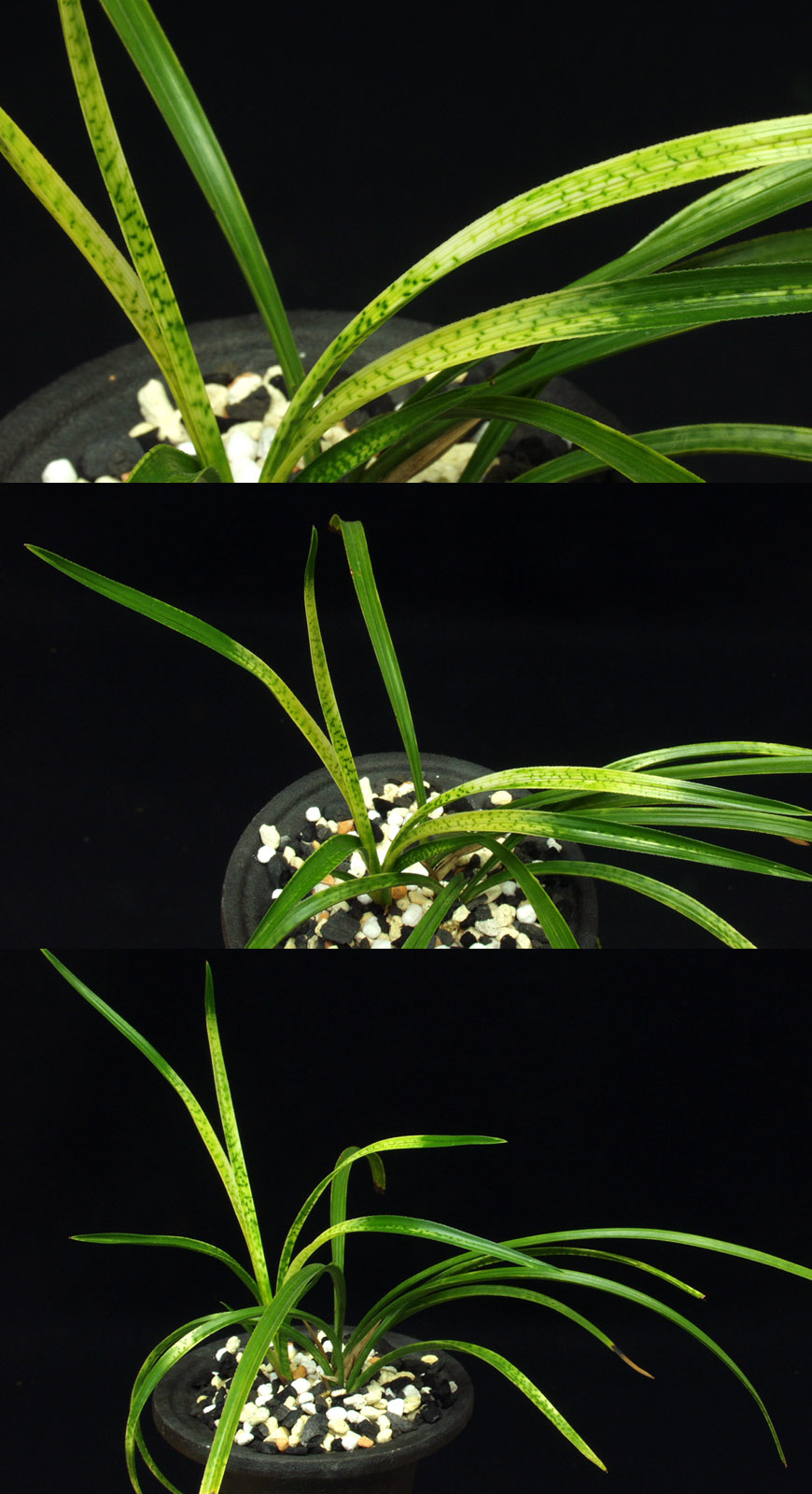 ������ ū������ �� �� �ֽ��ϴ�.