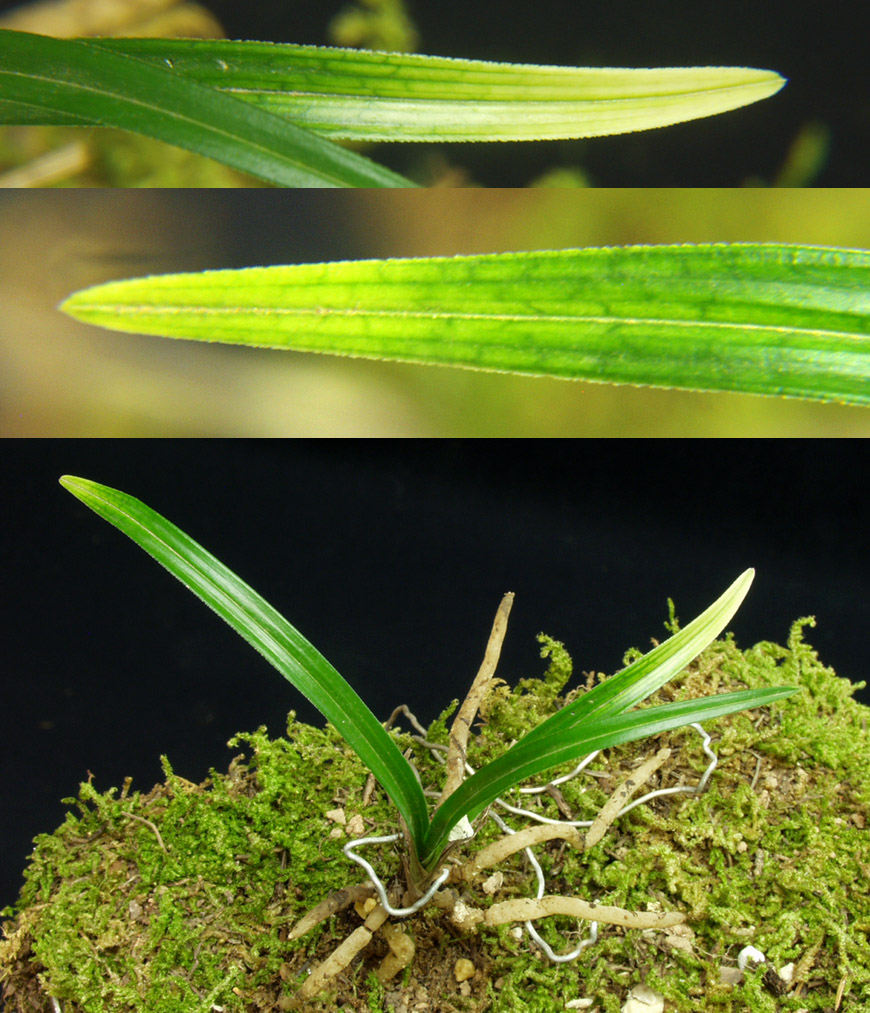 ������ ū������ �� �� �ֽ��ϴ�.