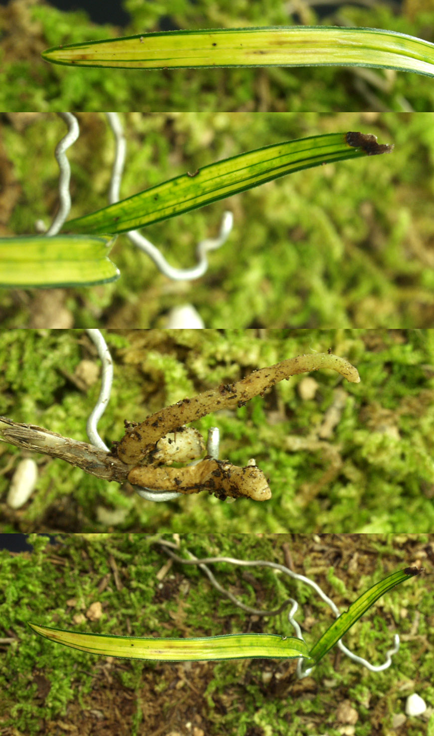 ������ ū������ �� �� �ֽ��ϴ�.